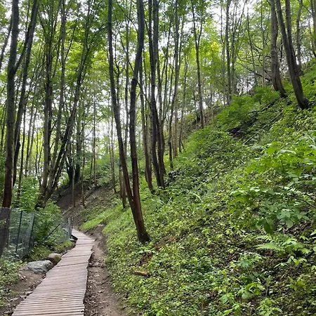 Baltic 1 Jastrzębia Góra