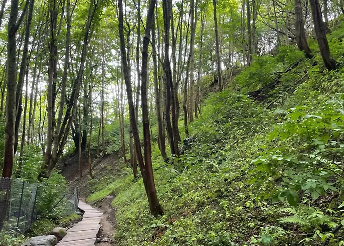 Baltic 1 Jastrzębia Góra